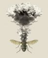 The Insect Apocalypse