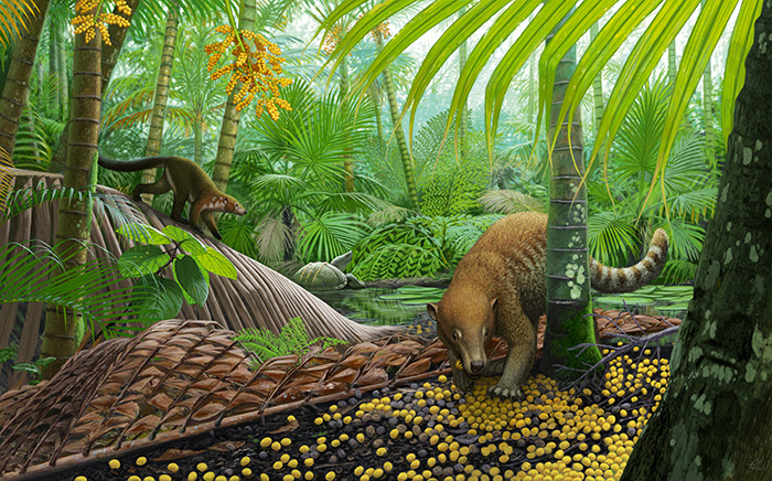 Early Life After the Great Dinosaur Extinction